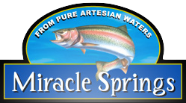 Miracle Springs Inc.-logo